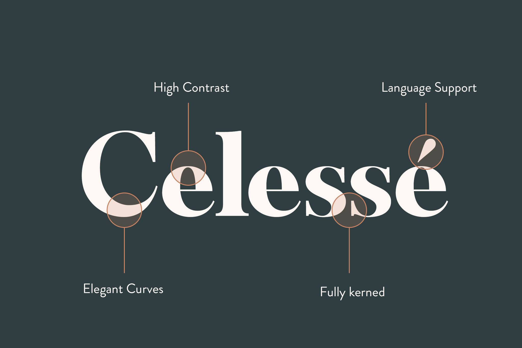 Celesse - Typography Features - High Contrast, Curves, Language Support, Kerning